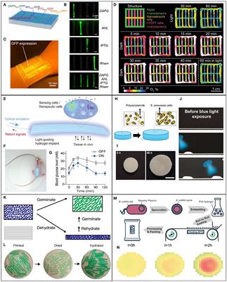 Engineered Living Materials-Based Sensing and Actuation